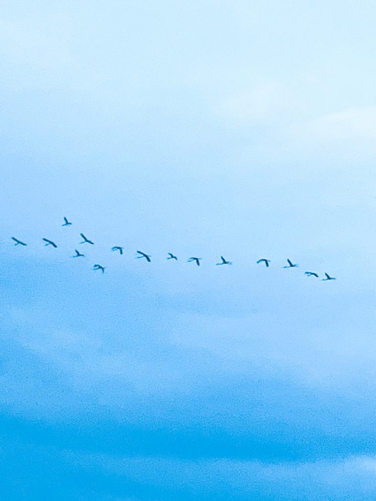 Bild von Gewaltfreie Kommunikation als innere Haltung“