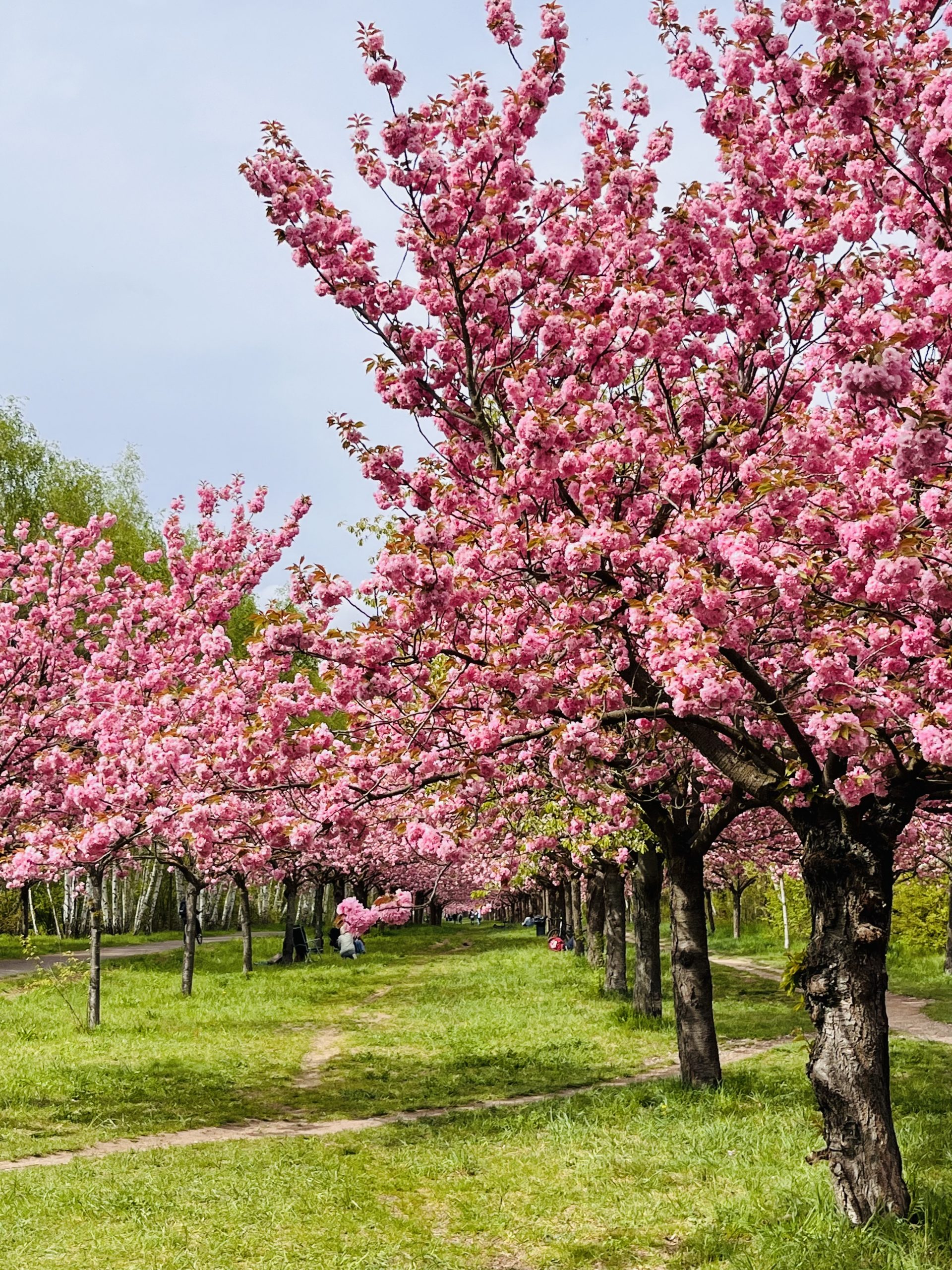 Bild Mehr zu mir erfahren